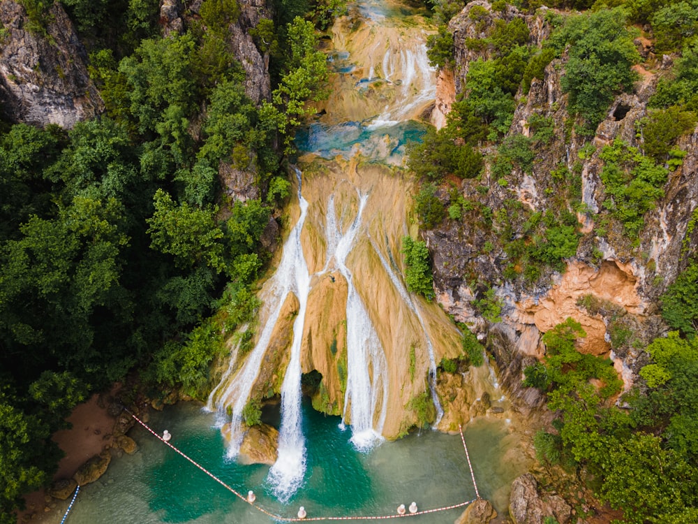 Árboles marrones y verdes junto al río durante el día