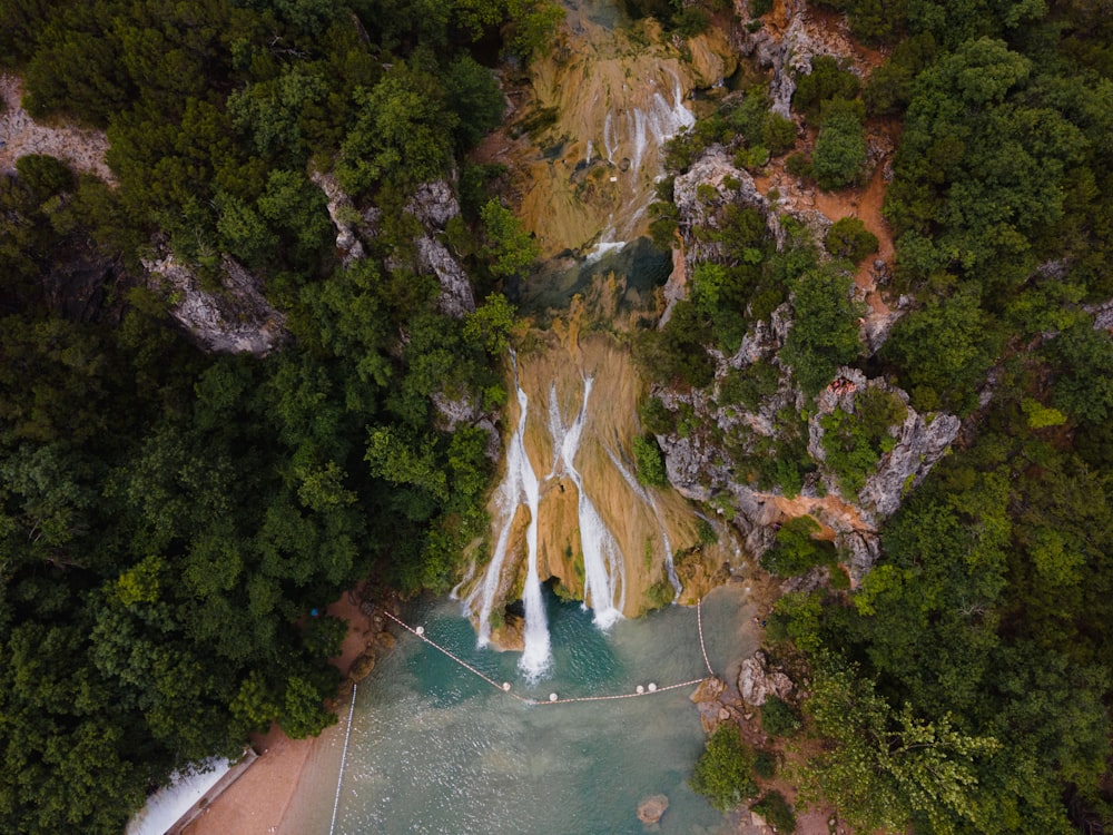 árvores marrons e verdes ao lado do rio