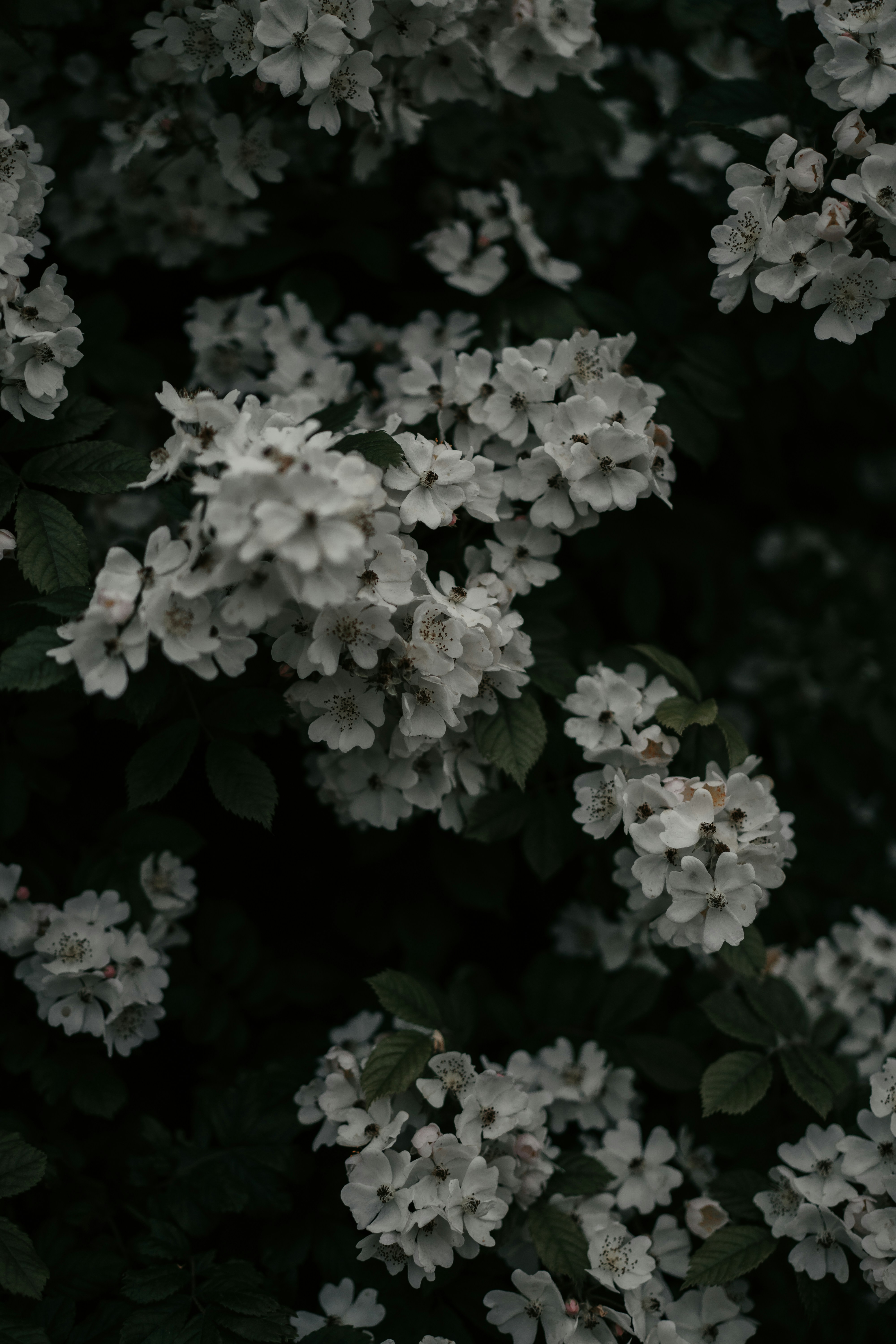 Photo by luiseandnic