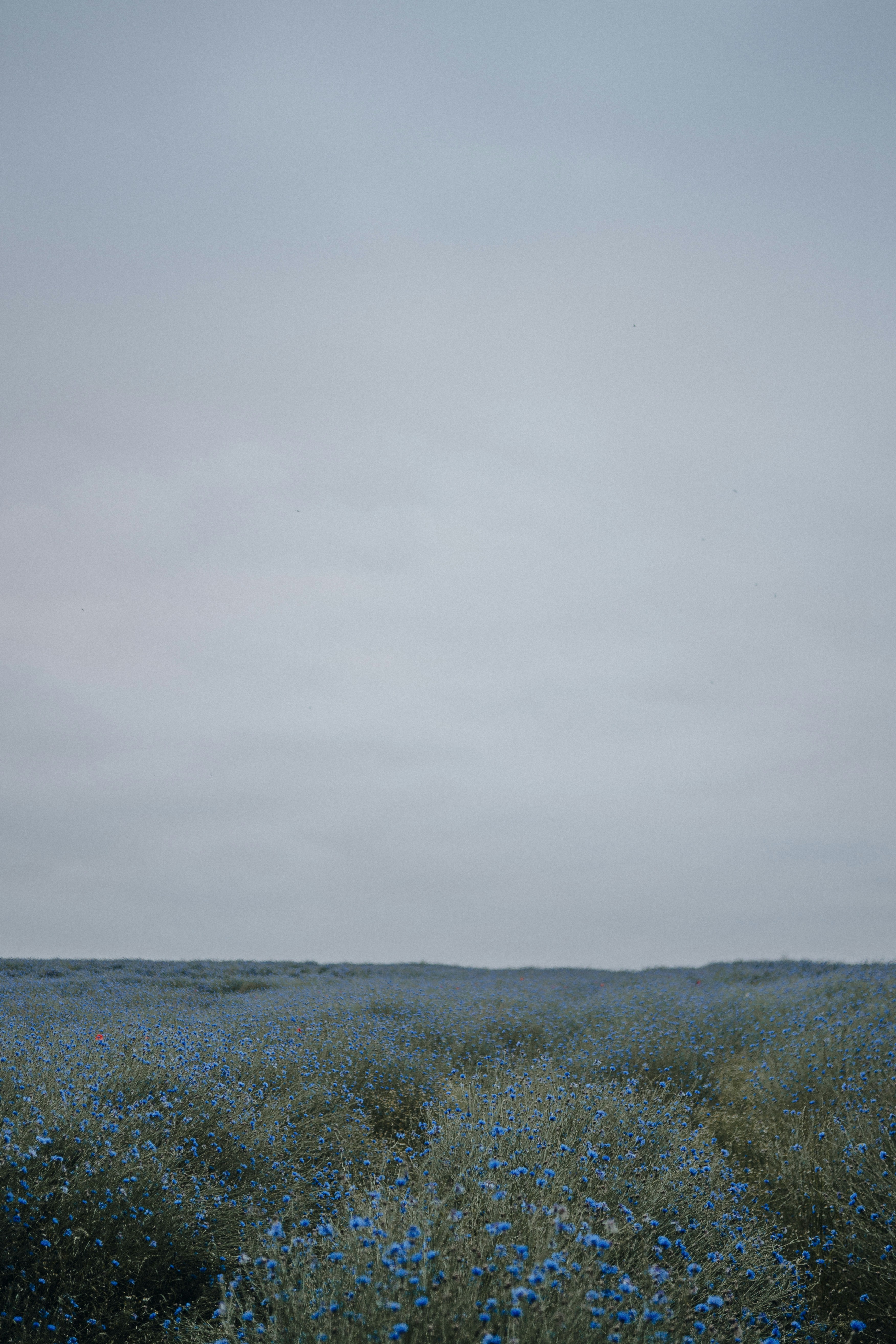 Photo by luiseandnic