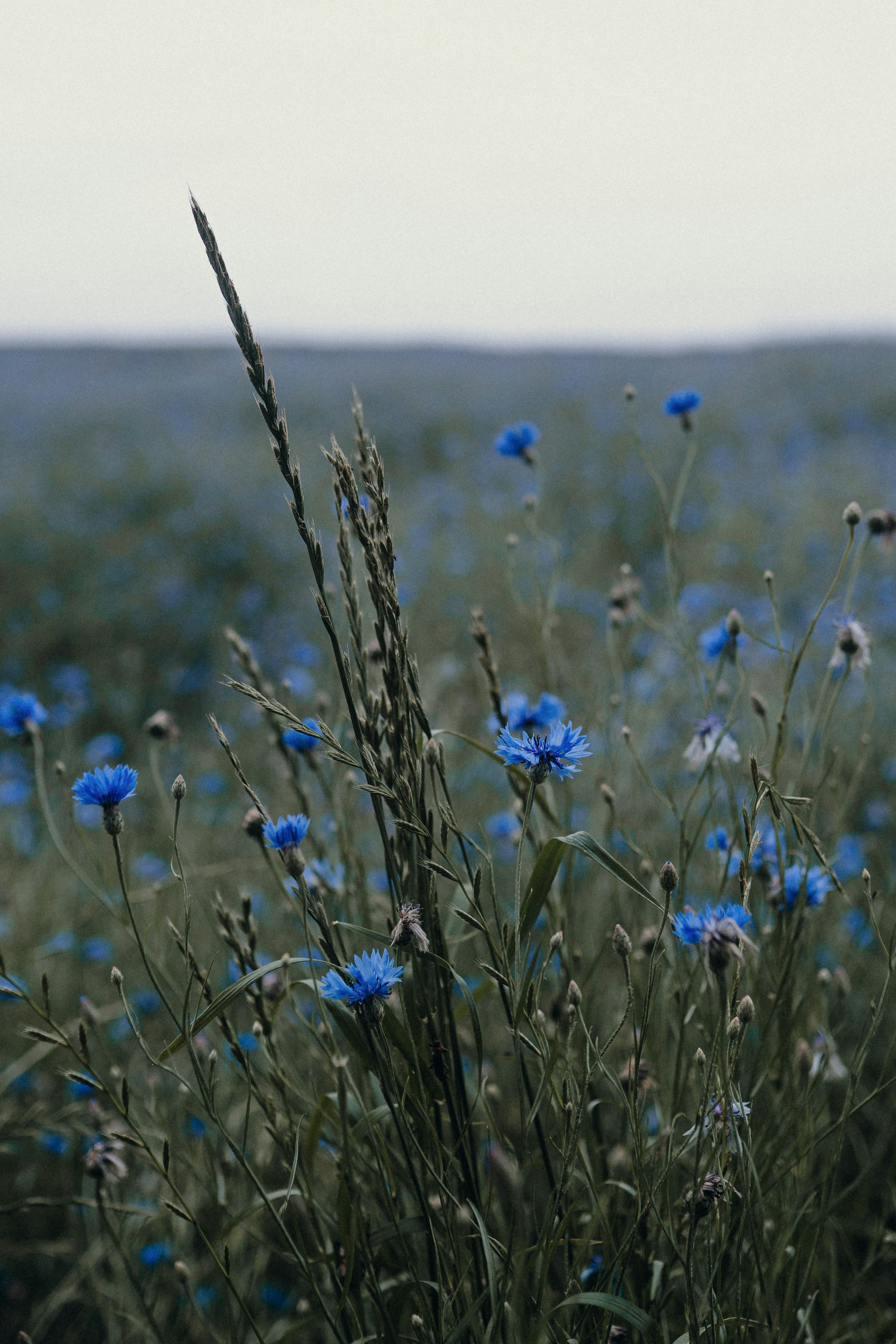 Photo by luiseandnic