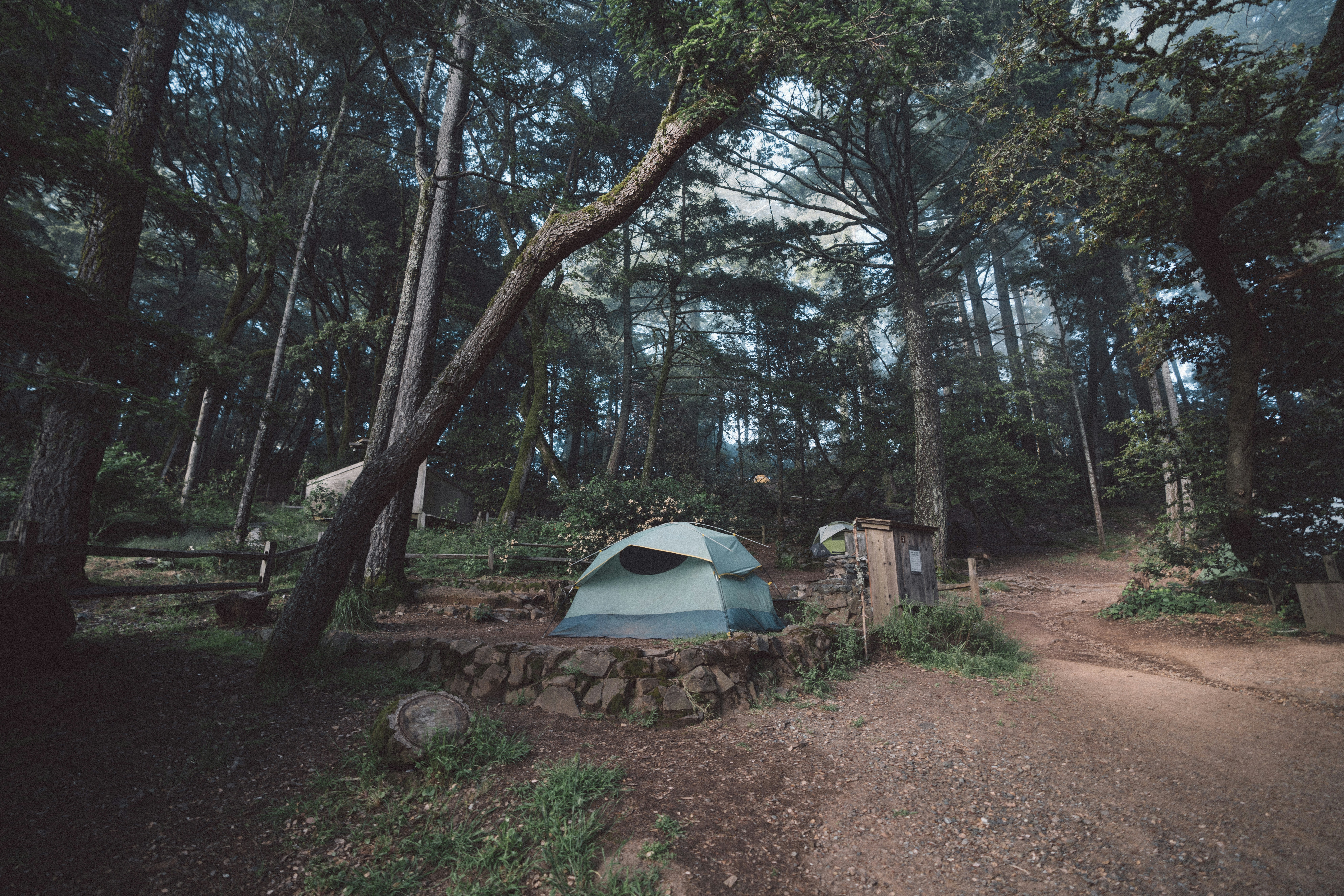 white dome tent under green trees during daytime, 