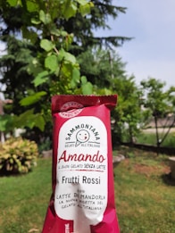A red and white ice cream package labeled 'Sammontana Amando Frutti Rossi' is being held up against a backdrop of lush green trees and plants in a garden setting. The text on the package indicates it is a non-dairy frozen dessert with almond milk.