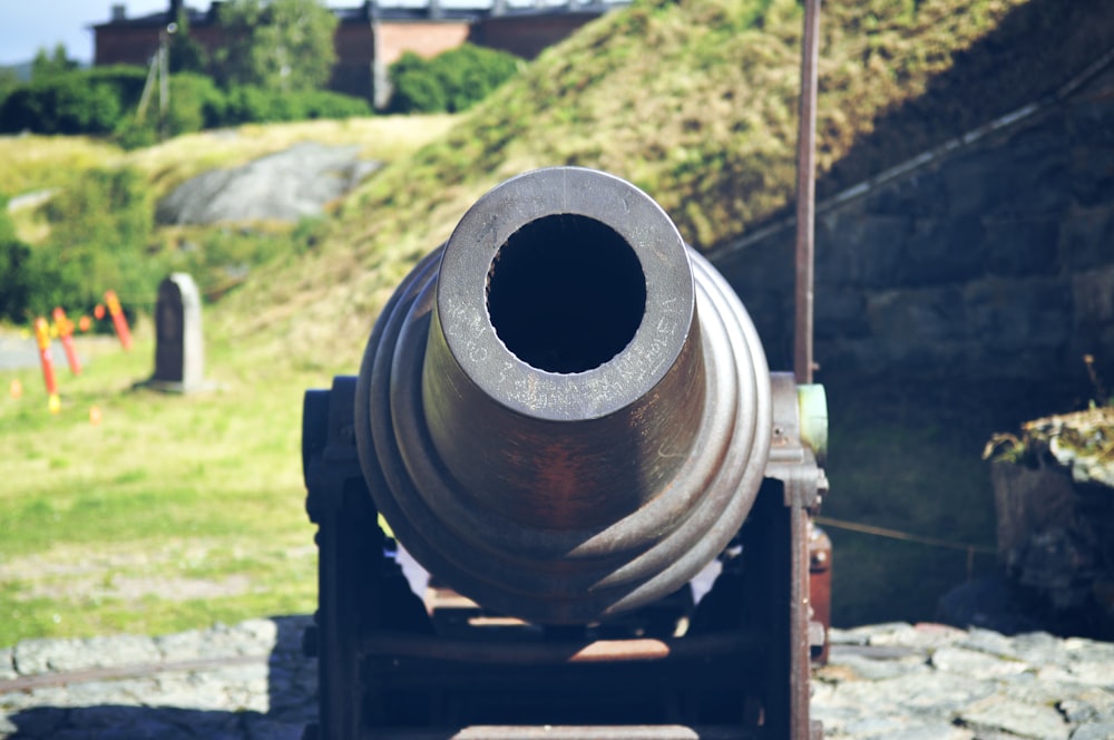 Cannone nero e marrone sul campo di erba verde durante il giorno