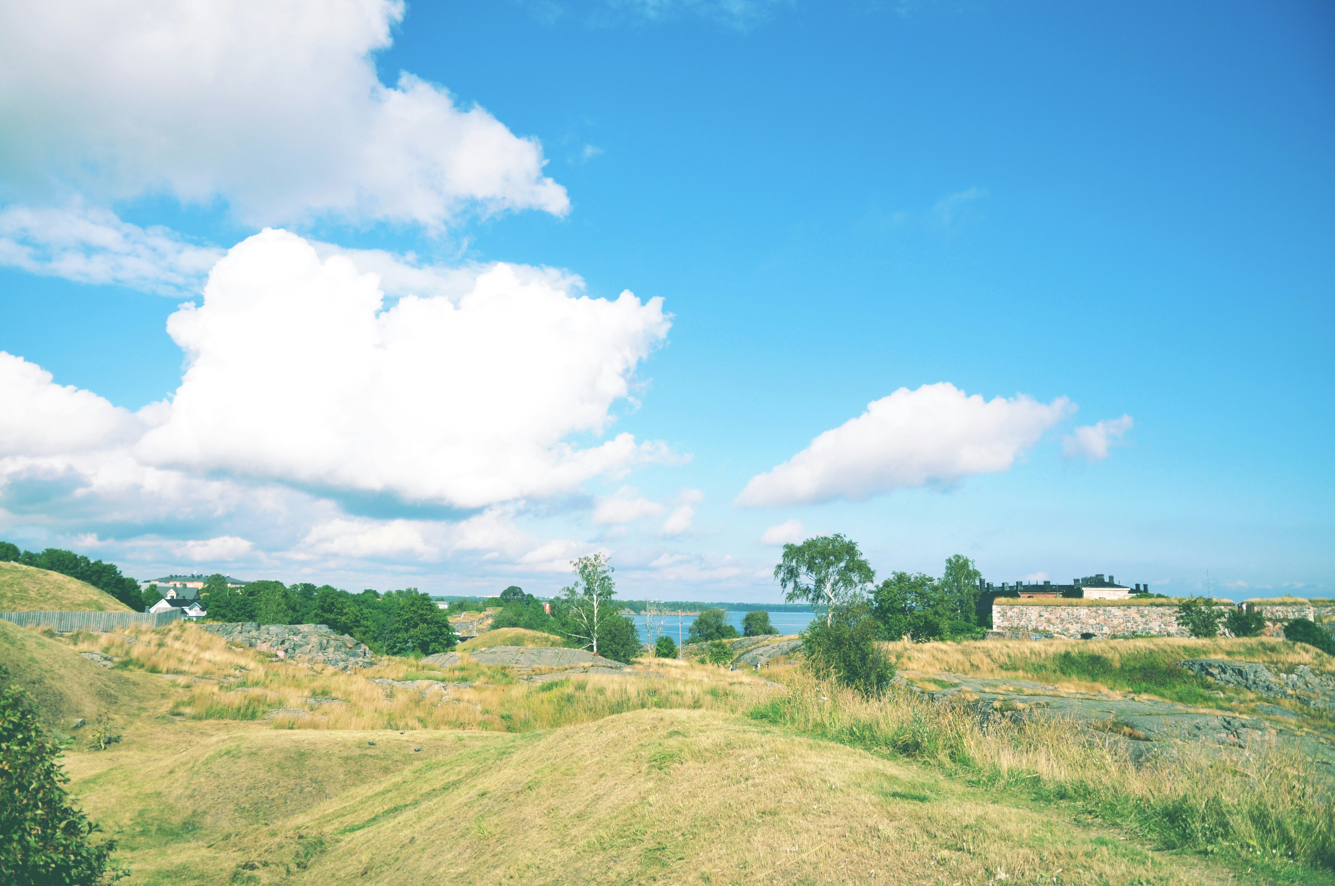 Photo by tommaomaoer