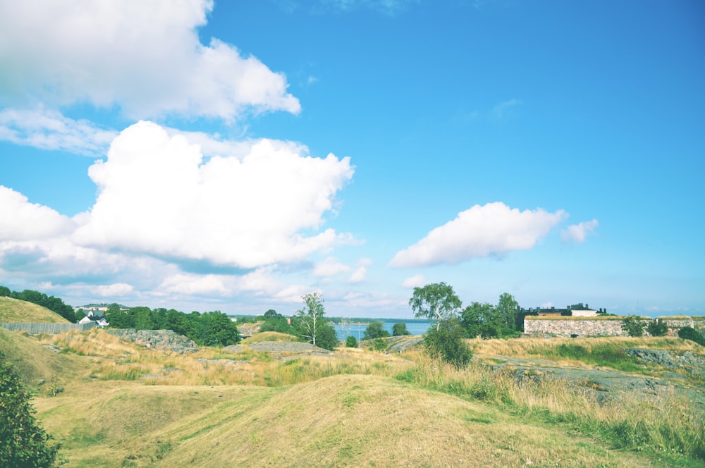 green grass field under blue sky and white clouds during daytime