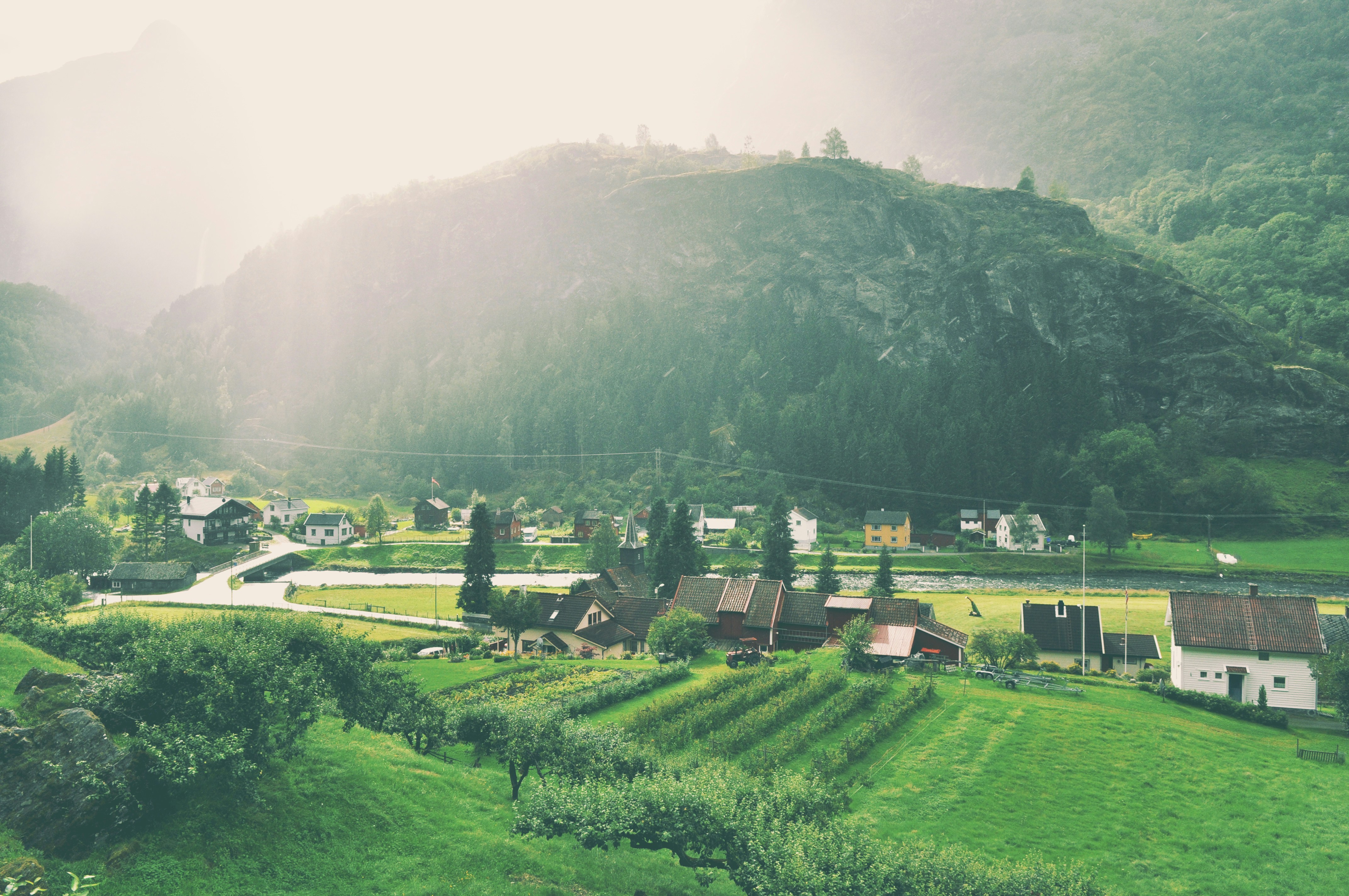 Photo by tommaomaoer