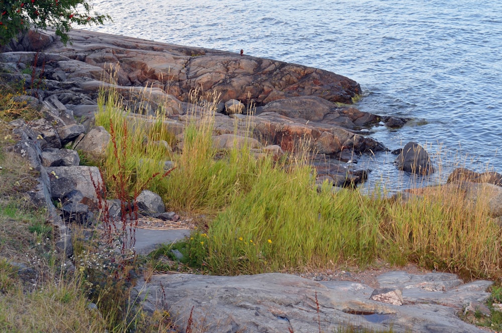 brown rock formation on body of water during daytime