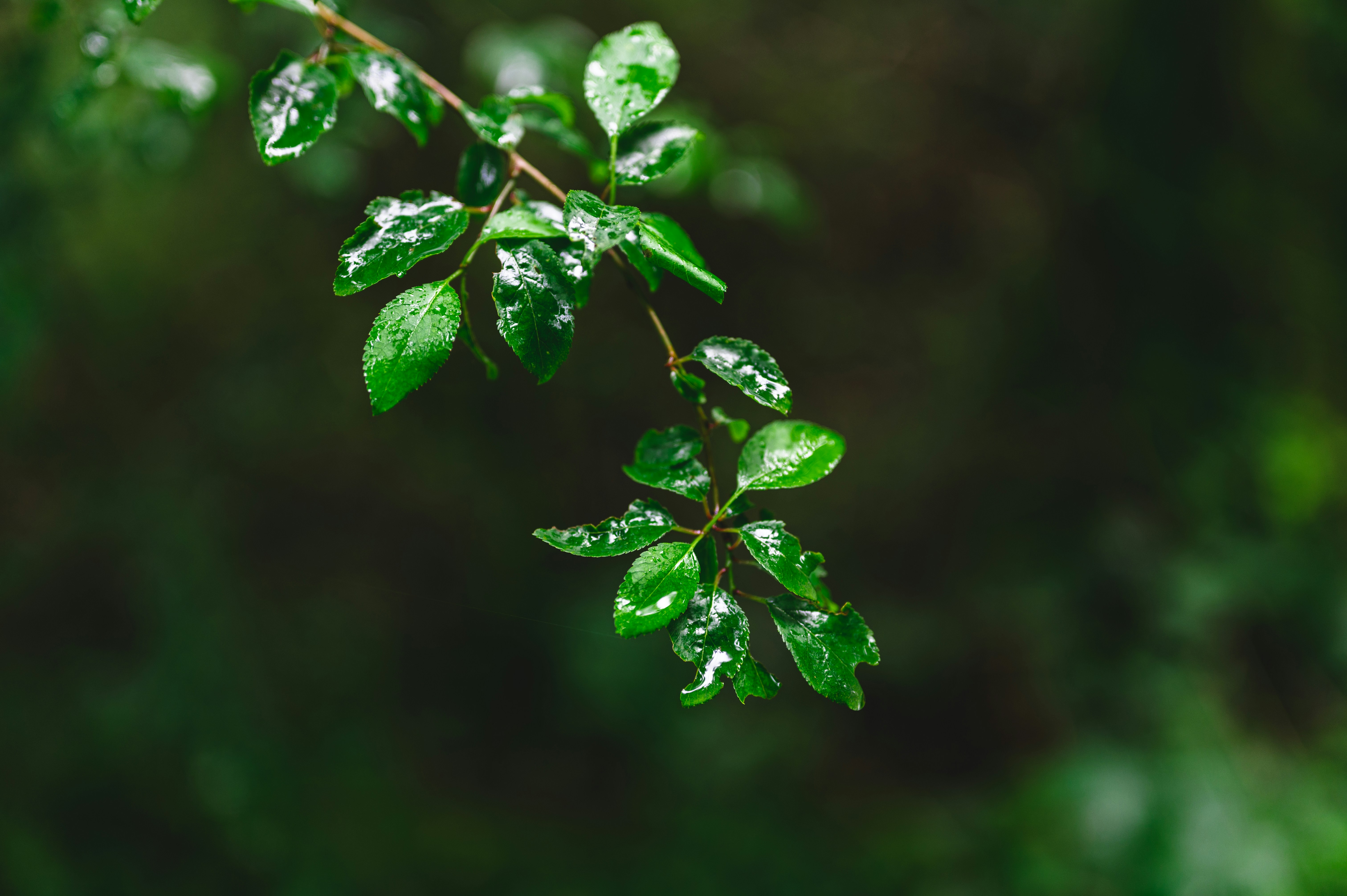 Photo by andreasbrun