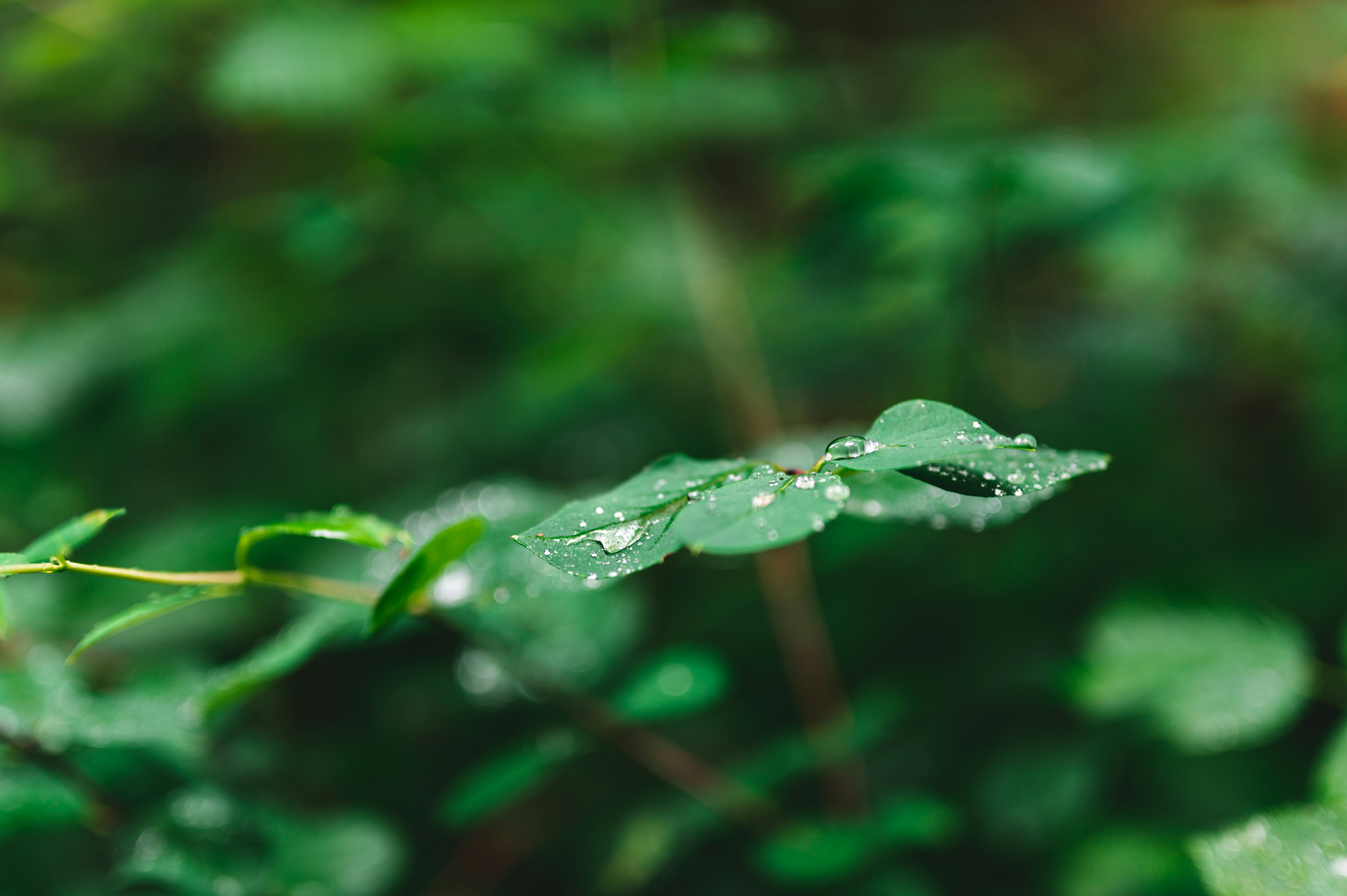 Photo by andreasbrun