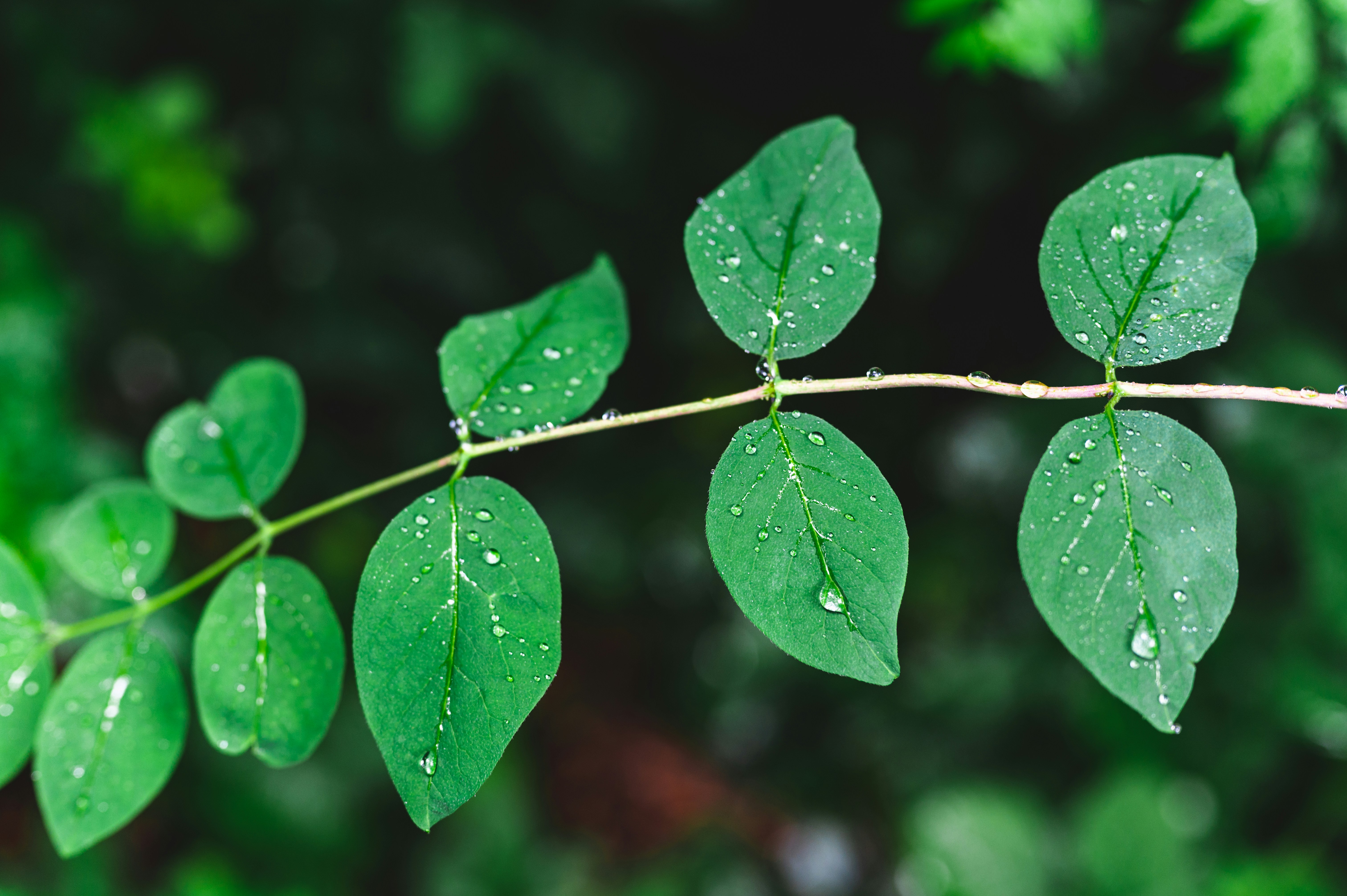 Photo by andreasbrun