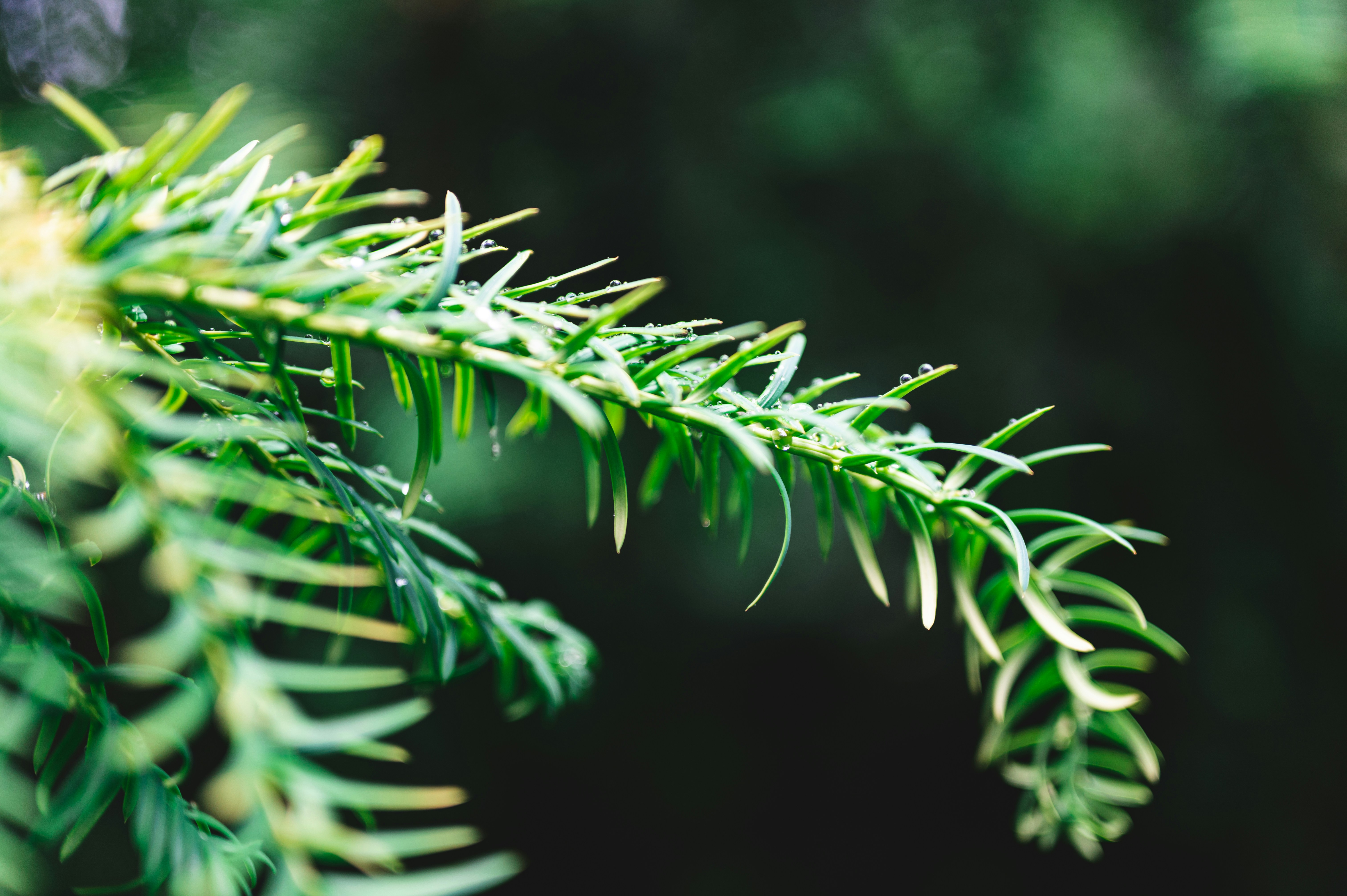 Photo by andreasbrun