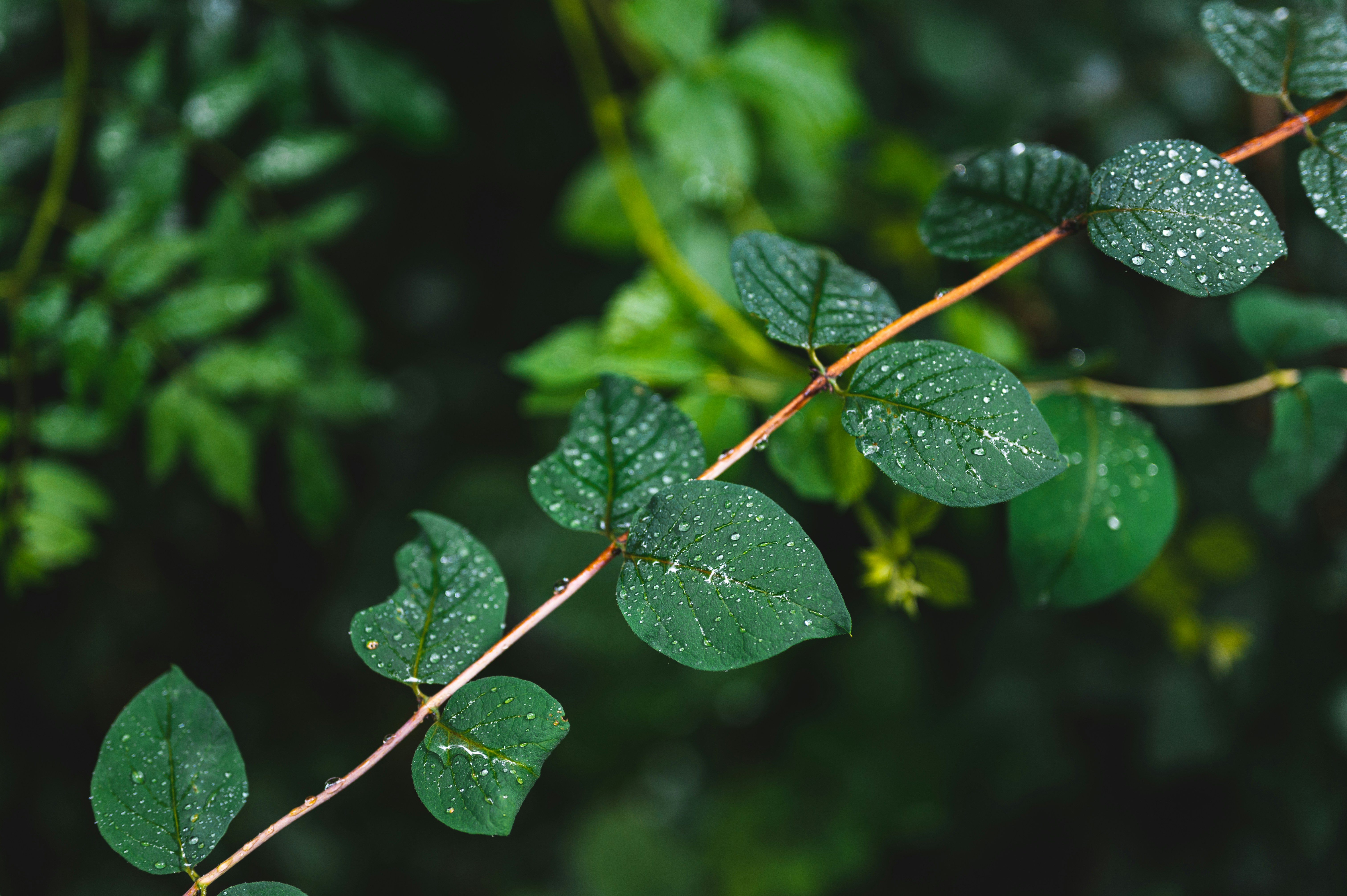 Photo by andreasbrun