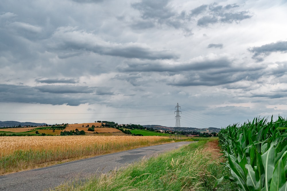 brown grass field near black electric tower under gray clouds during daytime