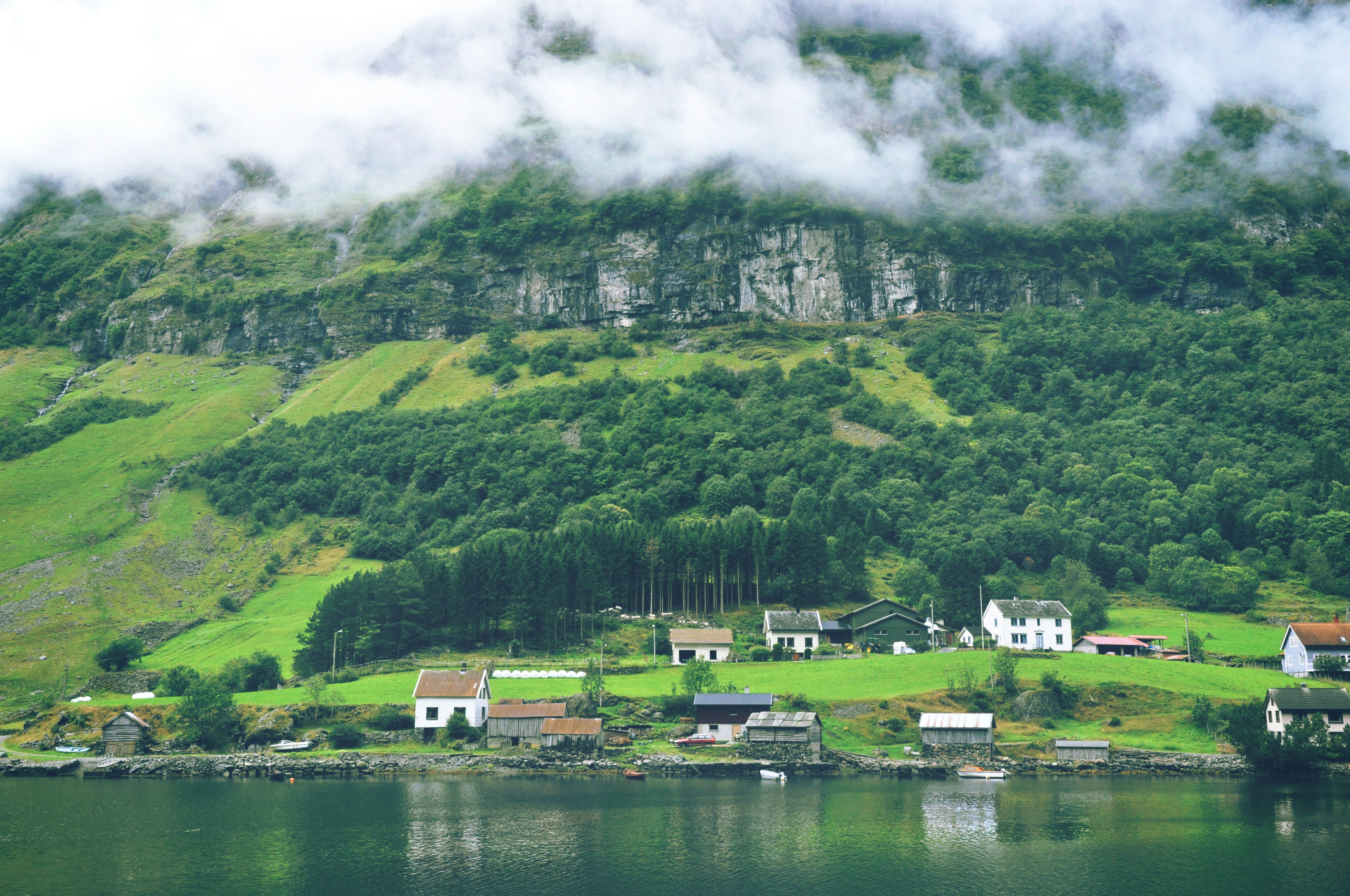 Photo by tommaomaoer