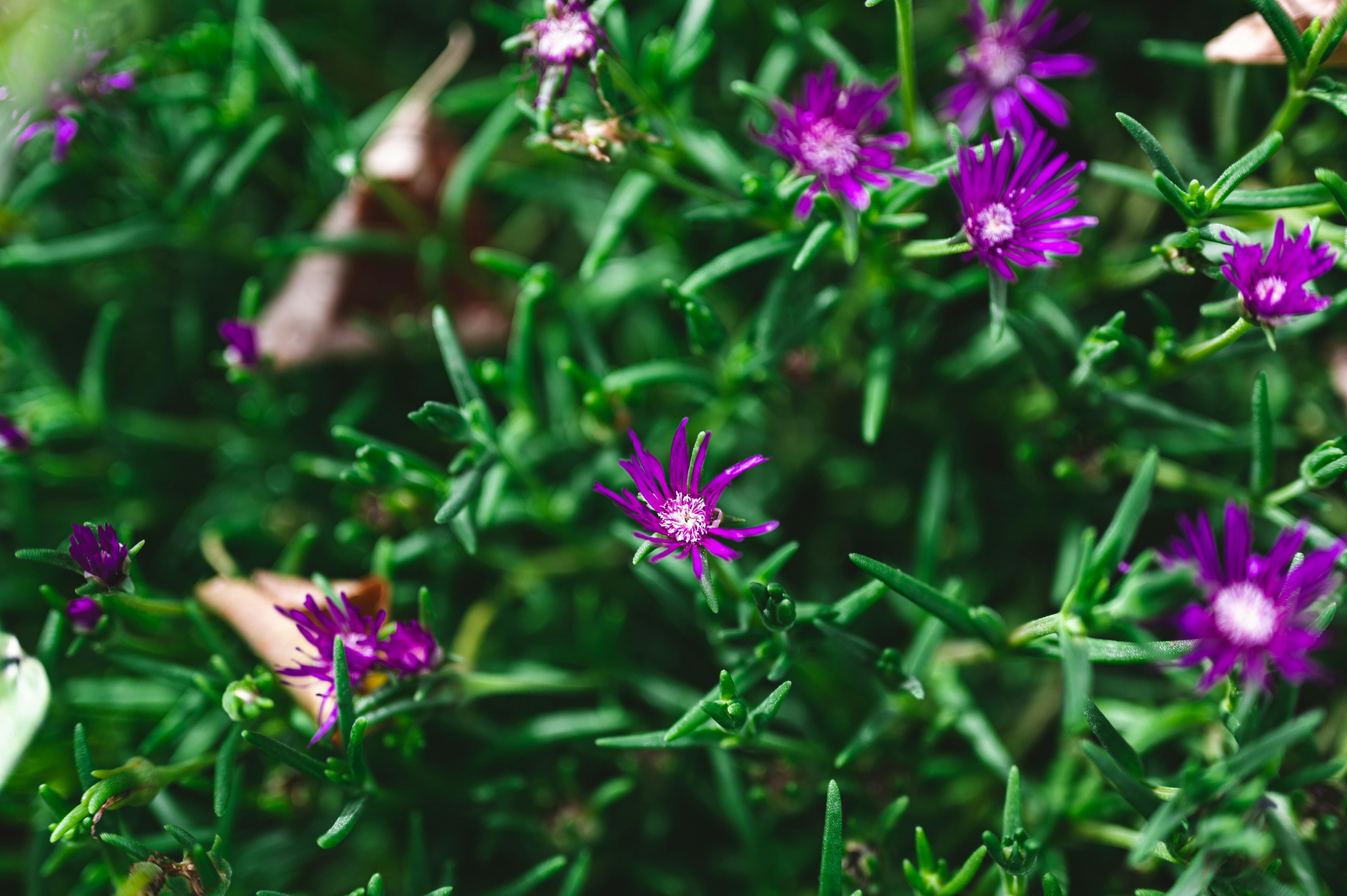 Photo by andreasbrun