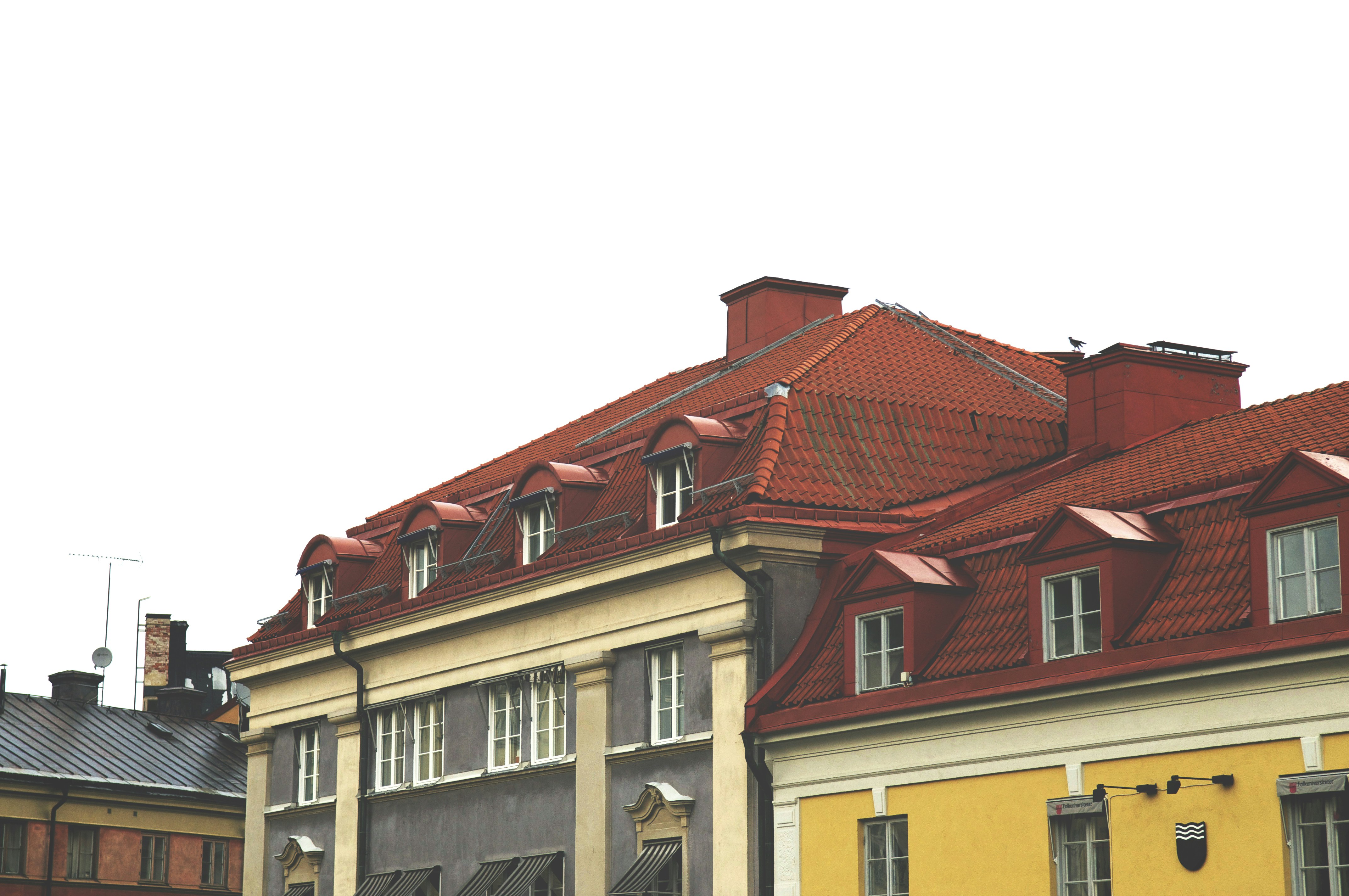 Photo by tommaomaoer