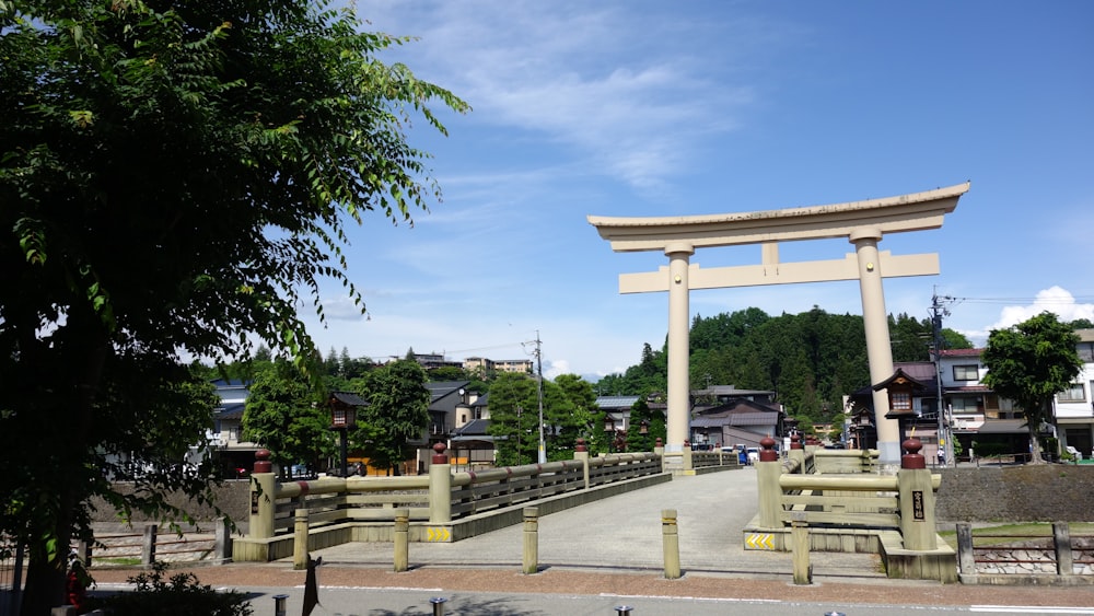 green trees near white wooden bench during daytime