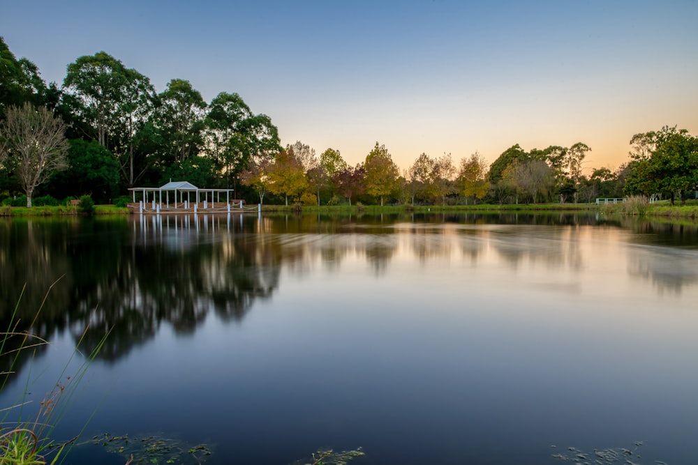 green trees beside body of water during daytime