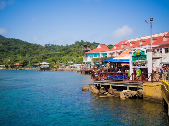 people walking on dock near body of water during daytime in Roatán Honduras