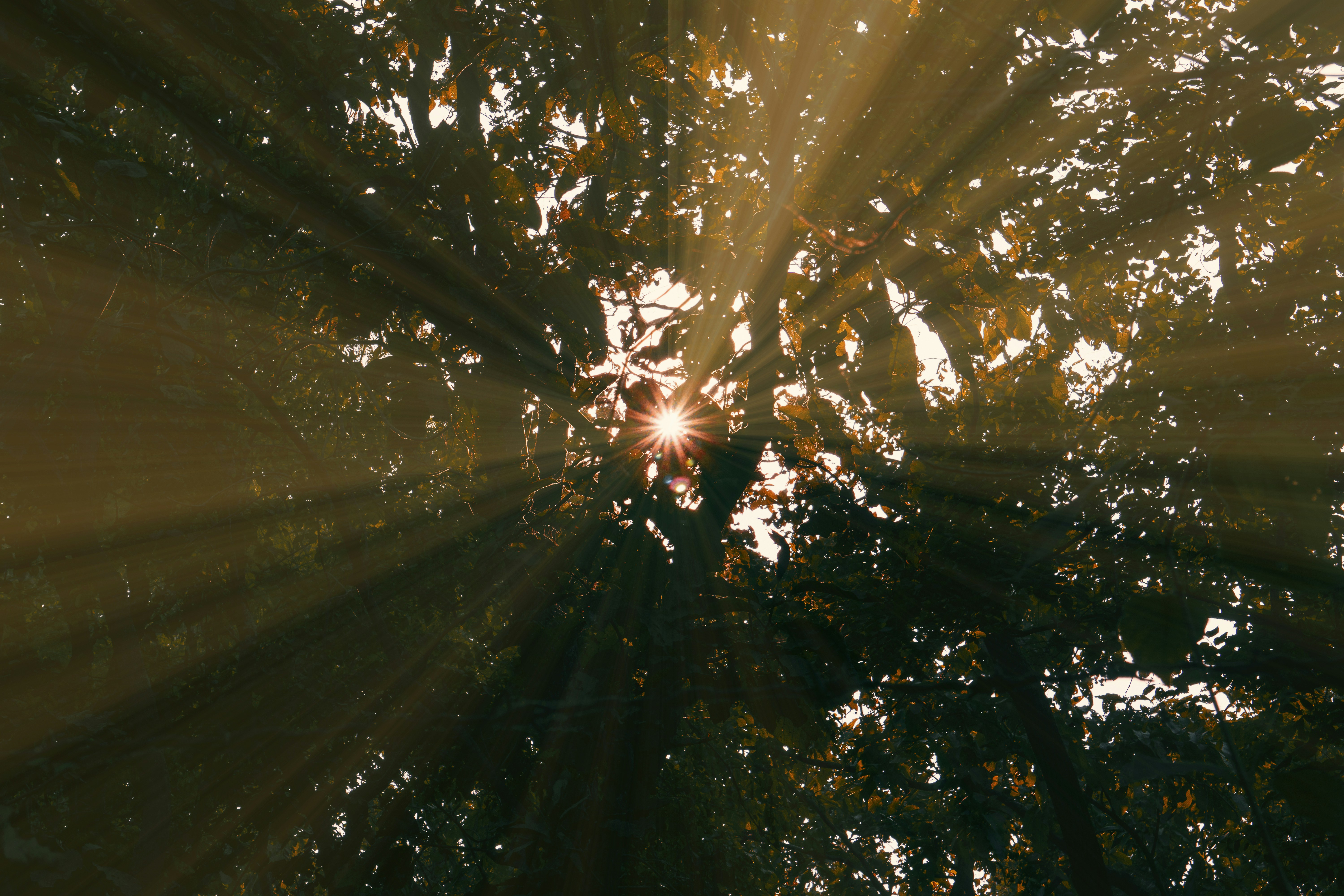 Photo by thisisdibya