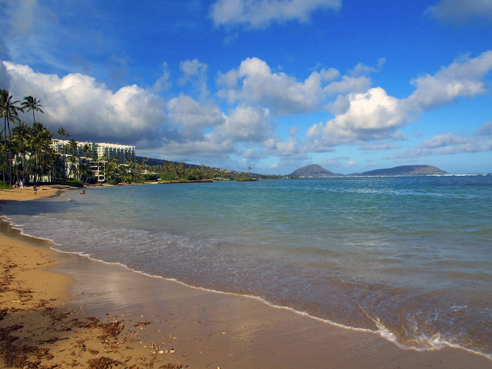 beach shore under blue sky and white clouds during daytime