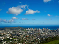 Audience engaged during a live webinar hosted by Lance with a vibrant Honolulu skyline backdrop.
