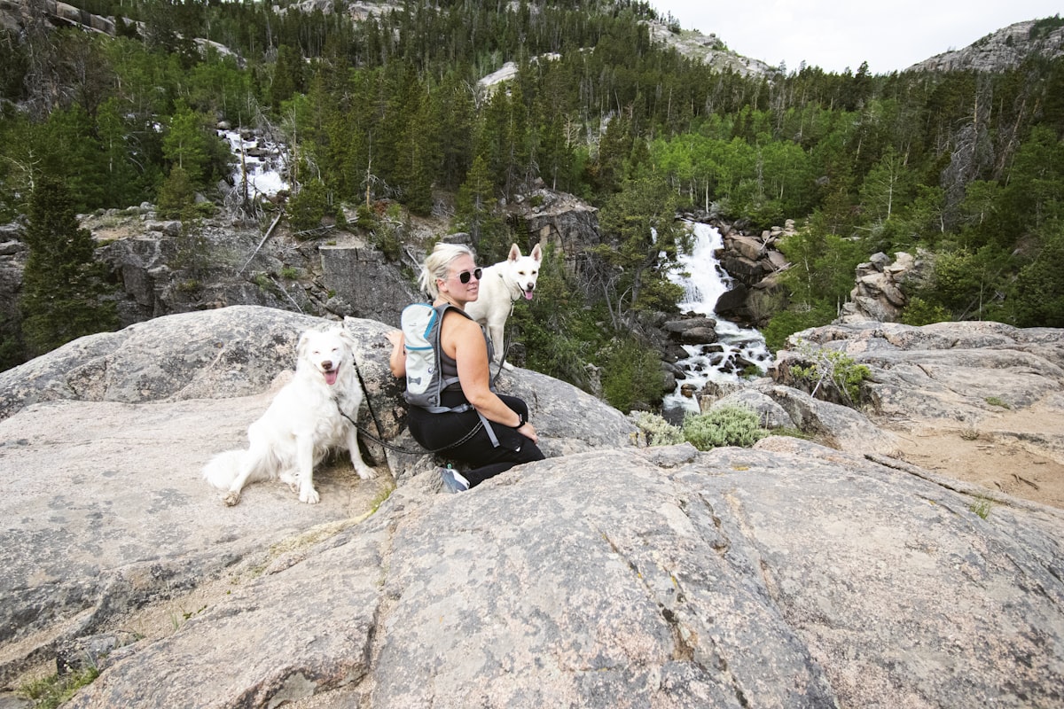Hikers resting outdoors with their dog on rocky terrain
