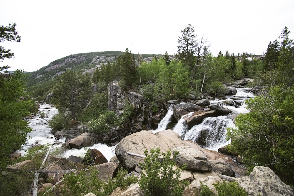 green trees on brown rocky mountain during daytime