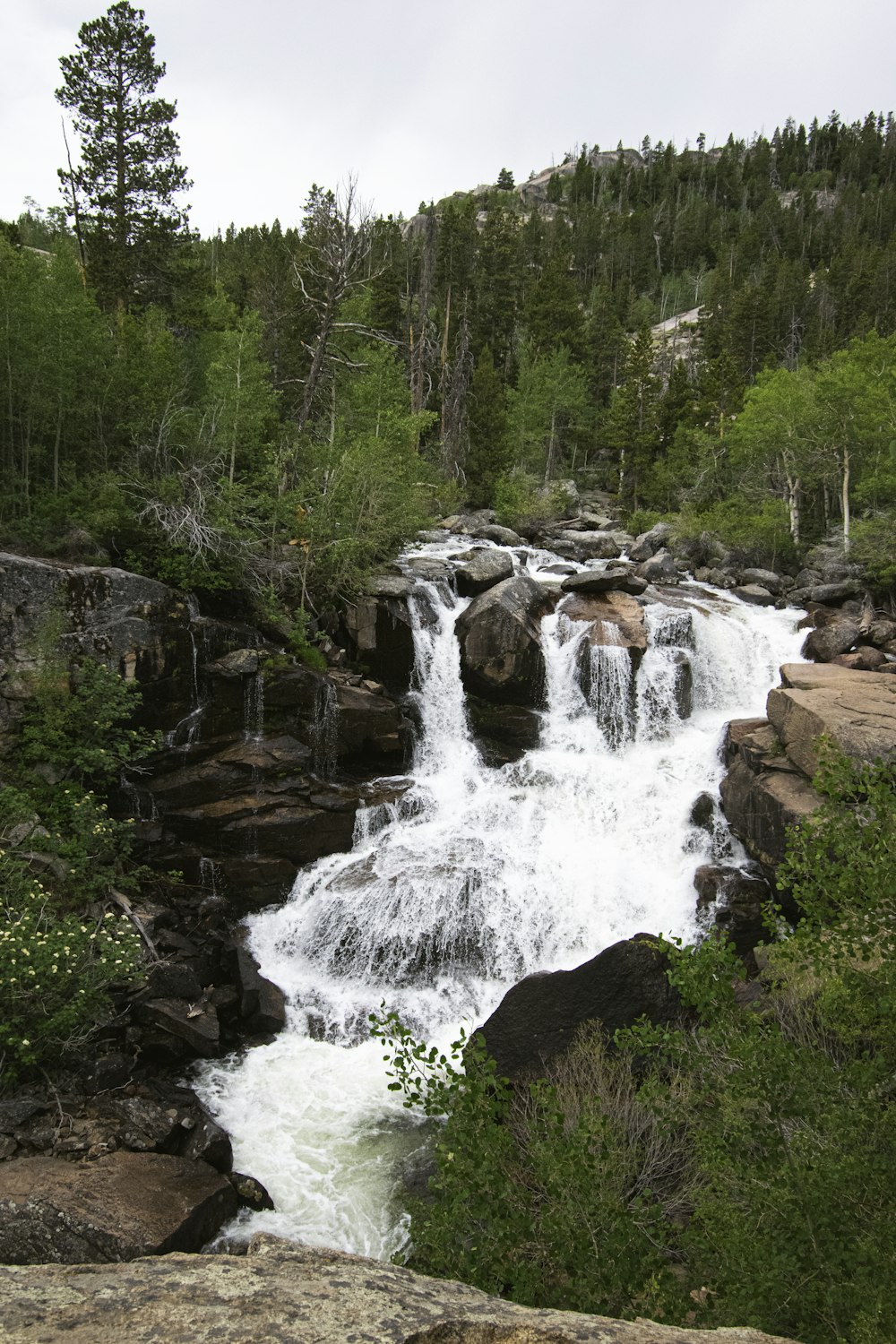 water falls in the middle of forest during daytime