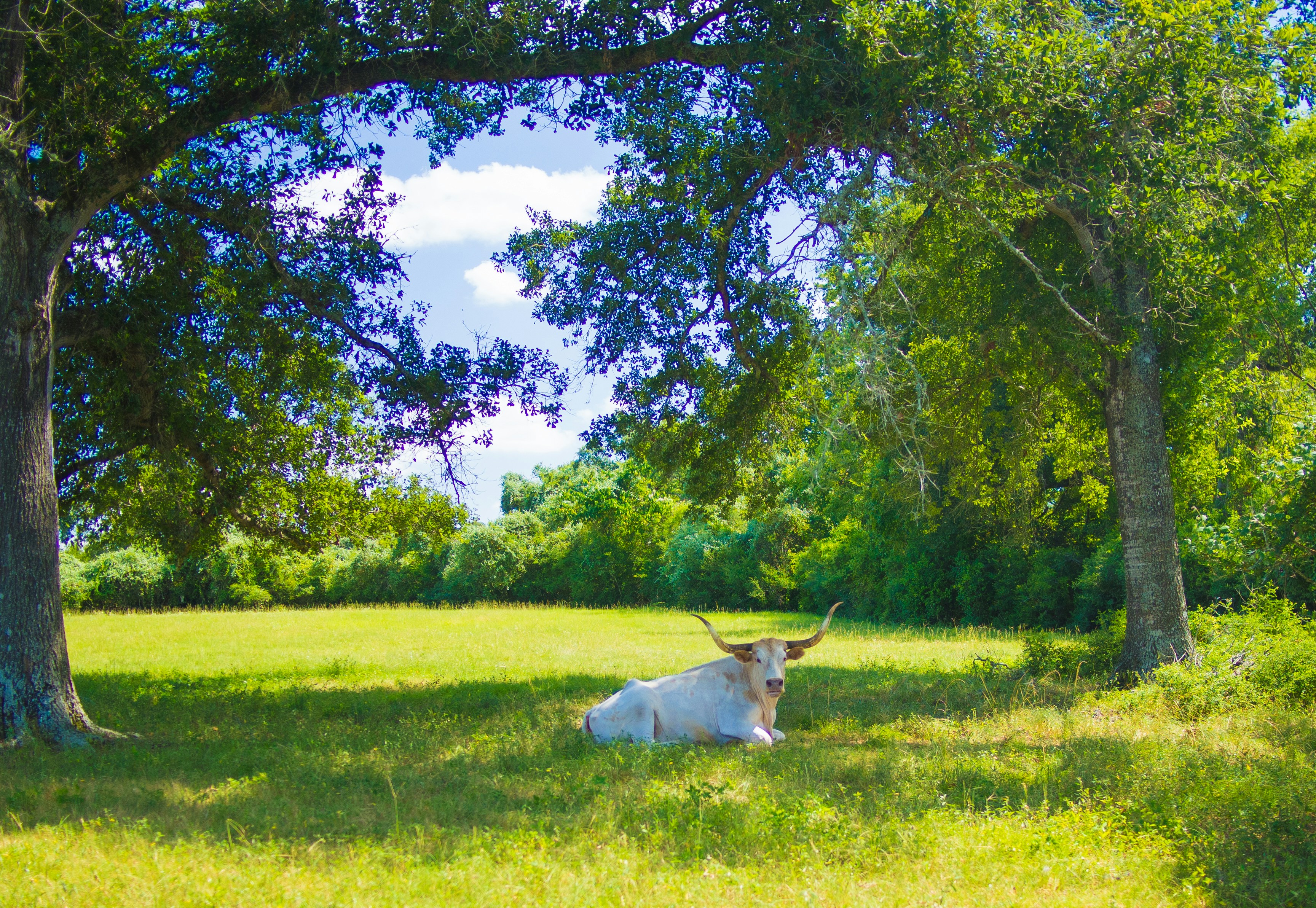 Photo by starwarsgirl