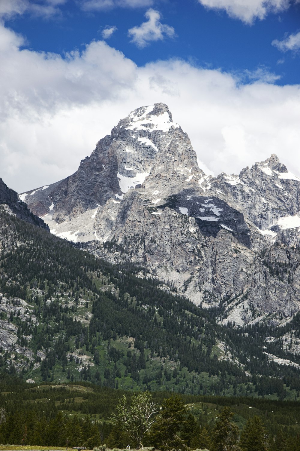 green trees near snow covered mountain during daytime