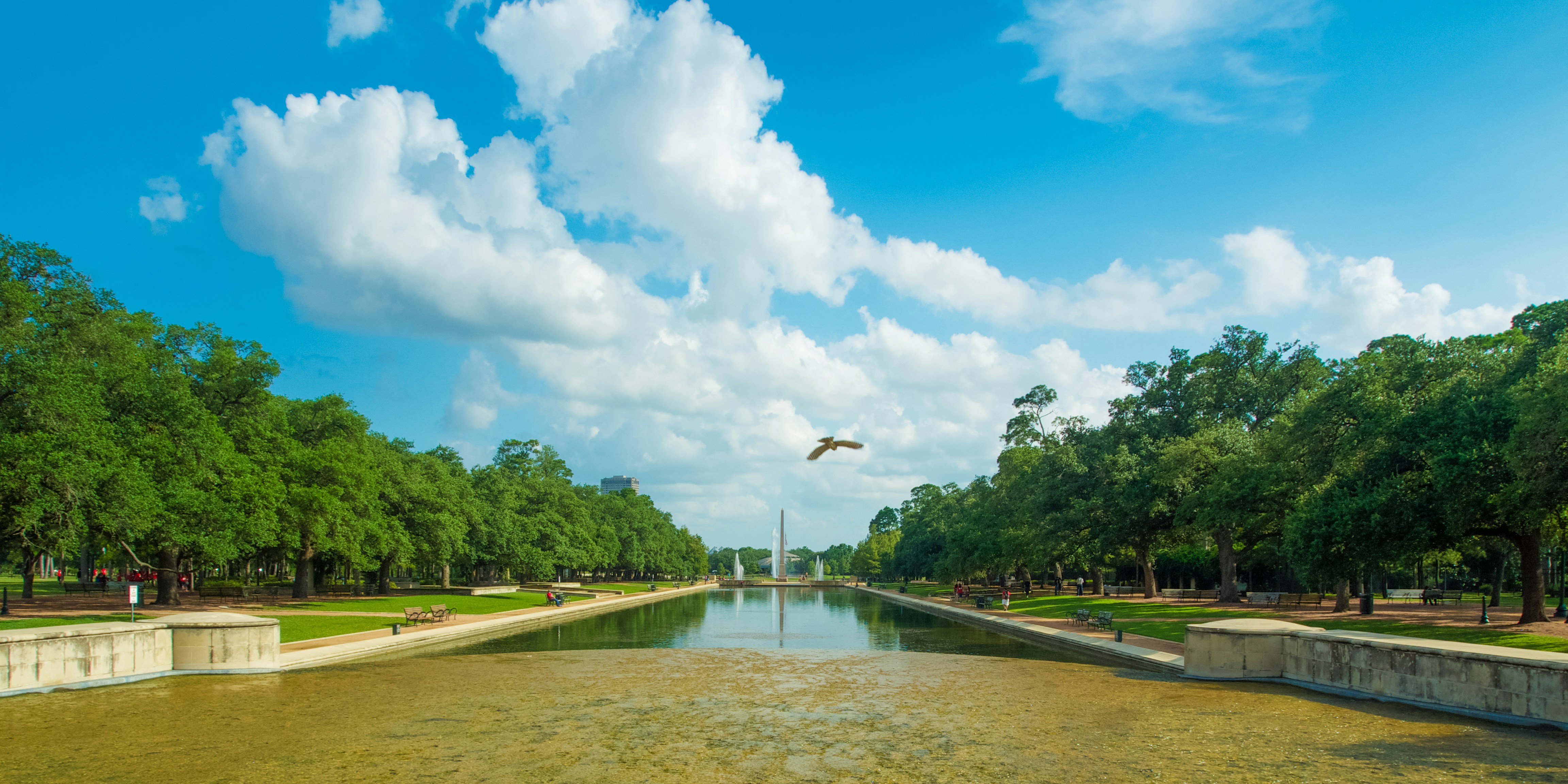 Hermann Park photo 3