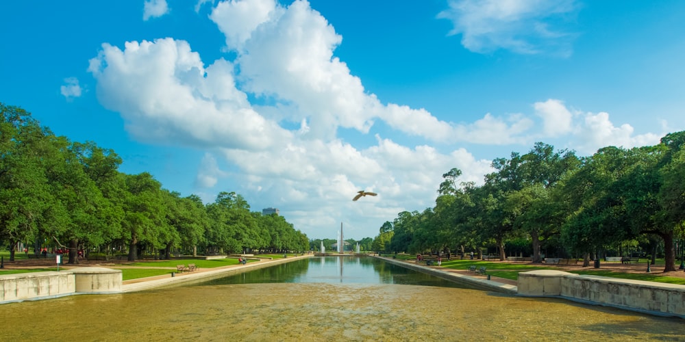 green trees near river under white clouds and blue sky during daytime