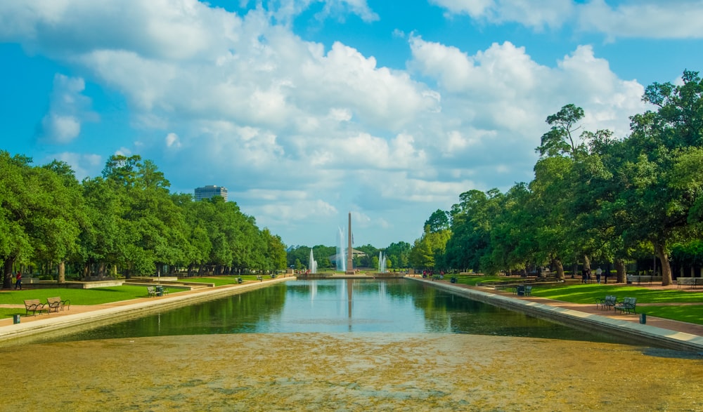 green trees beside river under white clouds and blue sky during daytime