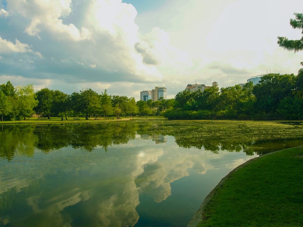 green trees near river under white clouds during daytime