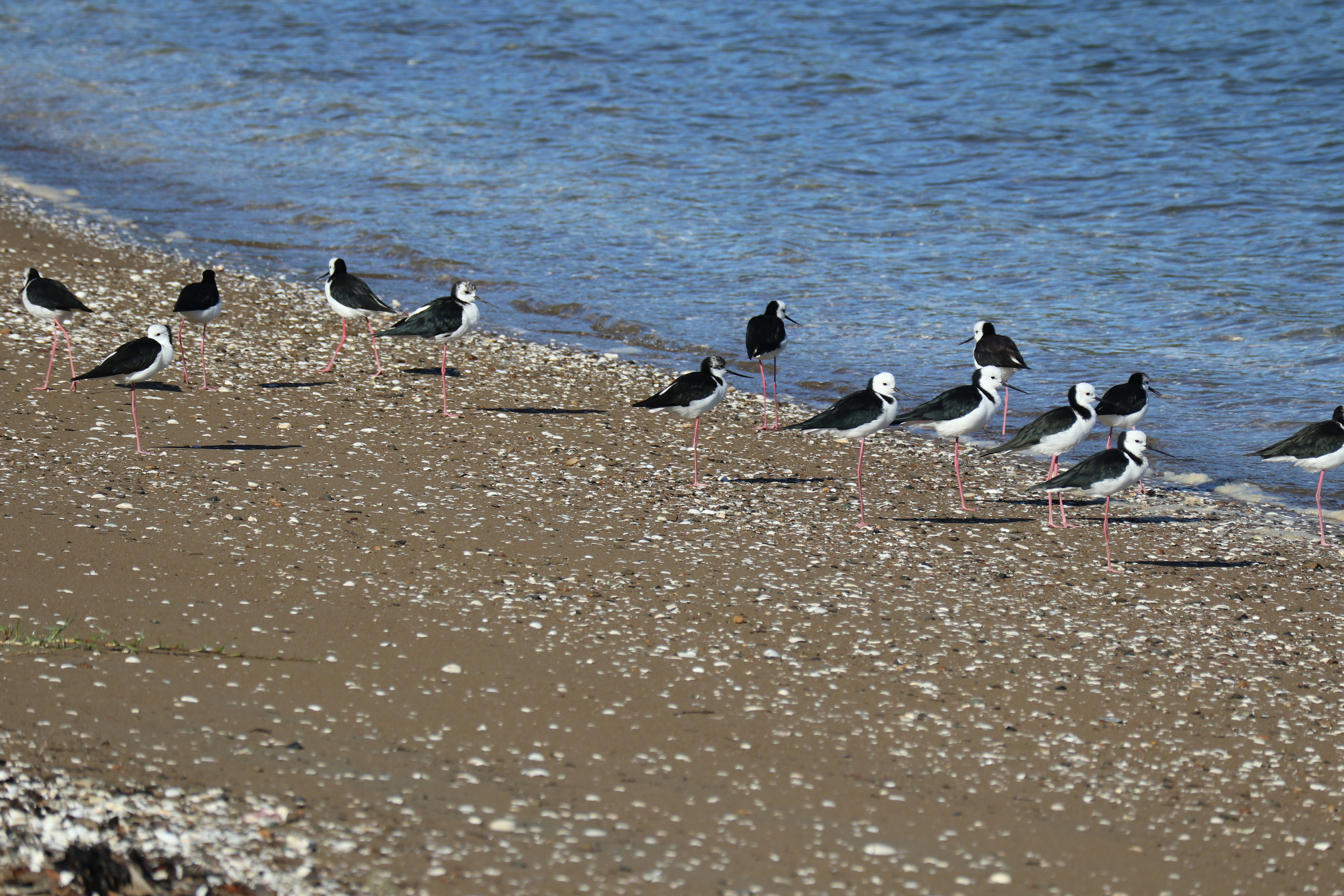 Photo by pauljuergen