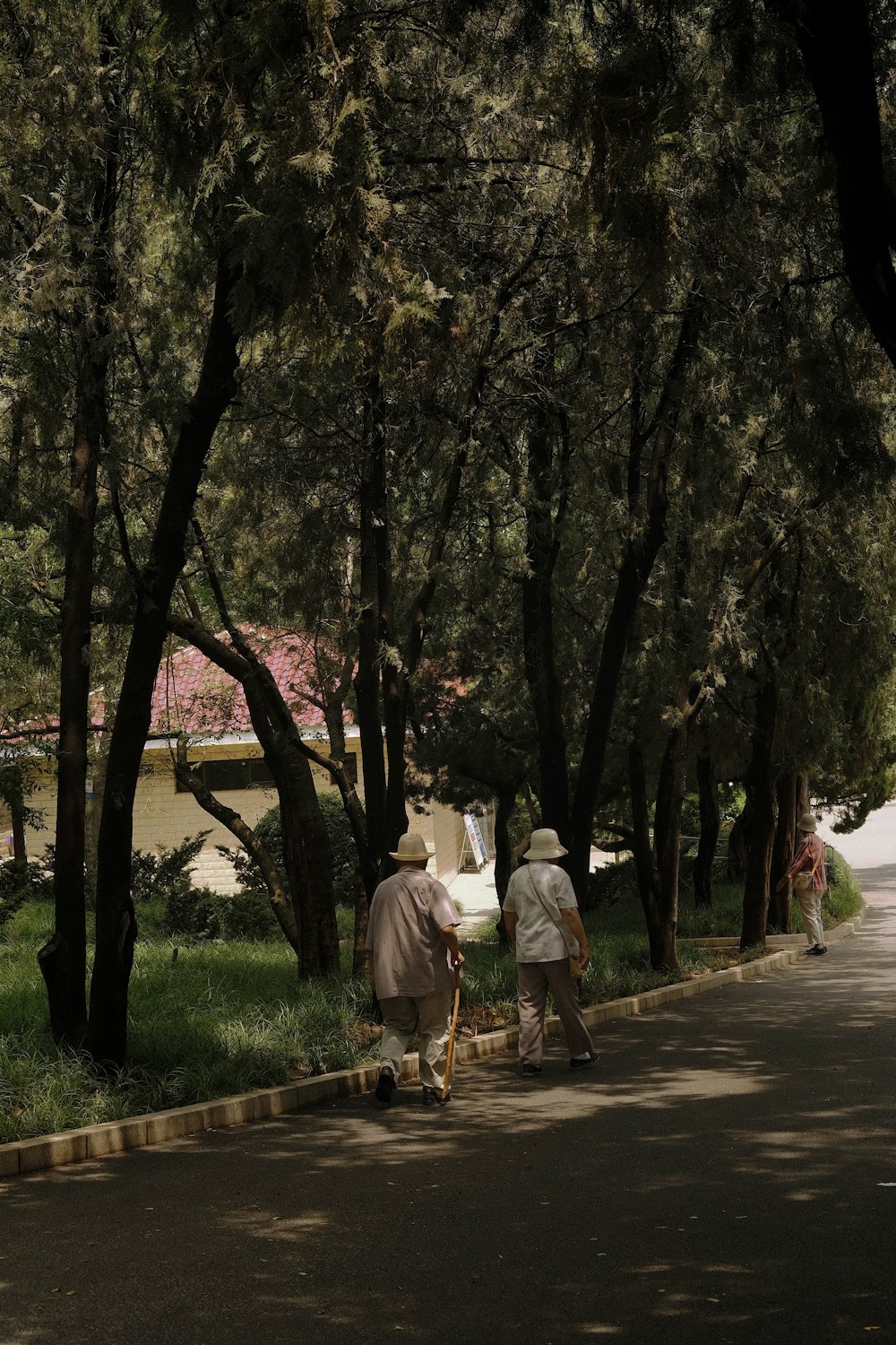 man and woman walking on pathway between trees during daytime