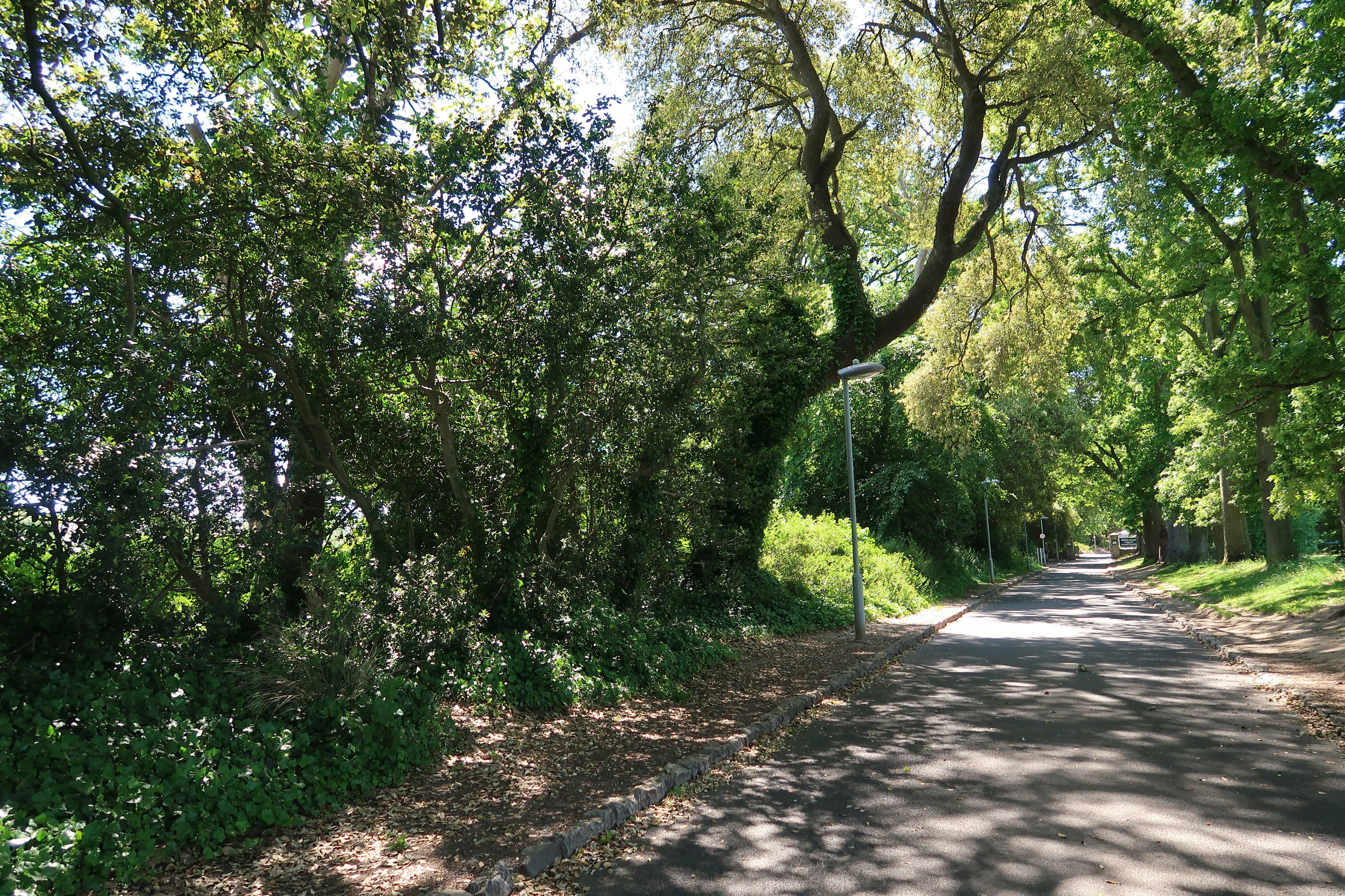 Photo by nadsgracexox