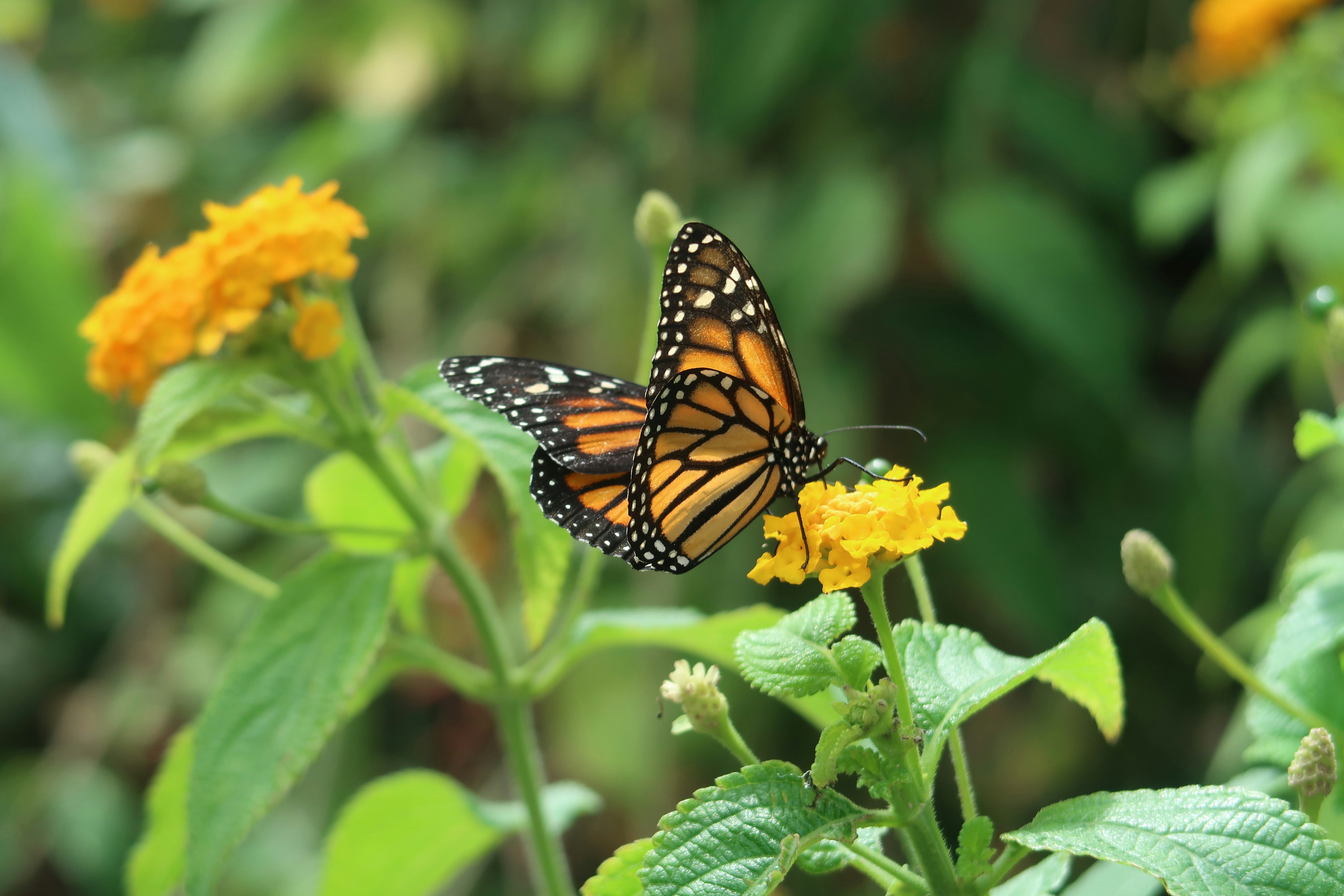 Photo by nadsgracexox