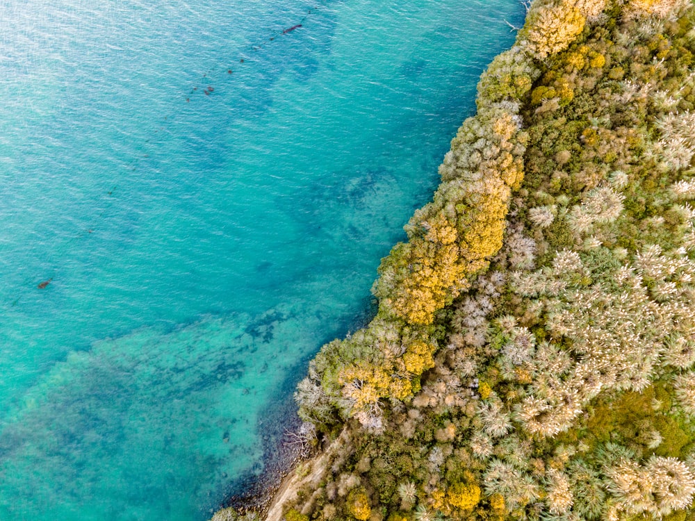 green moss on rock formation near body of water during daytime