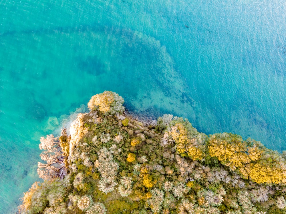 green and brown rock formation beside blue sea during daytime