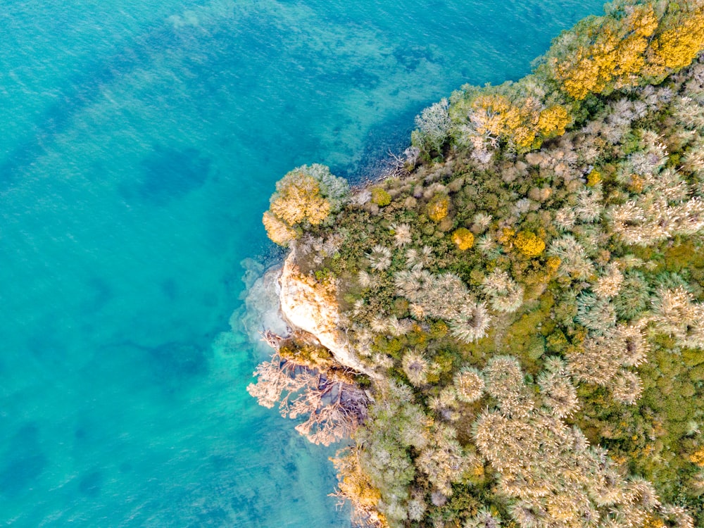 green and brown rock formation on blue sea water during daytime