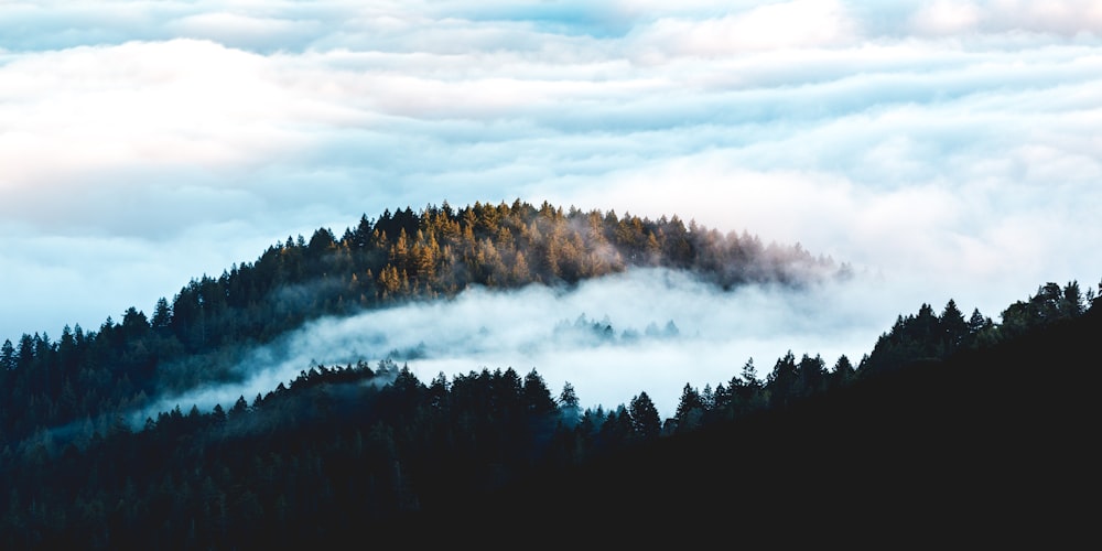 green trees near body of water under white clouds during daytime