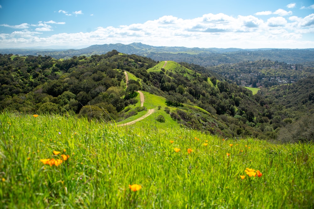 green grass field and mountain during daytime