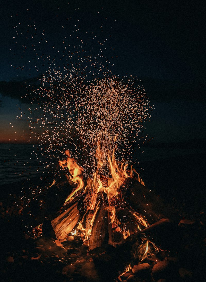 Private Beach Bonfire
