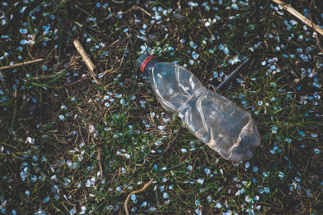  clear plastic bottle on green grass dustbin