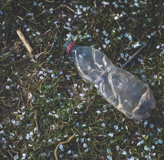 clear plastic bottle on green grass