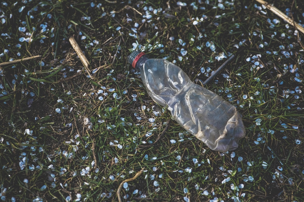durchsichtige Plastikflasche auf grünem Gras