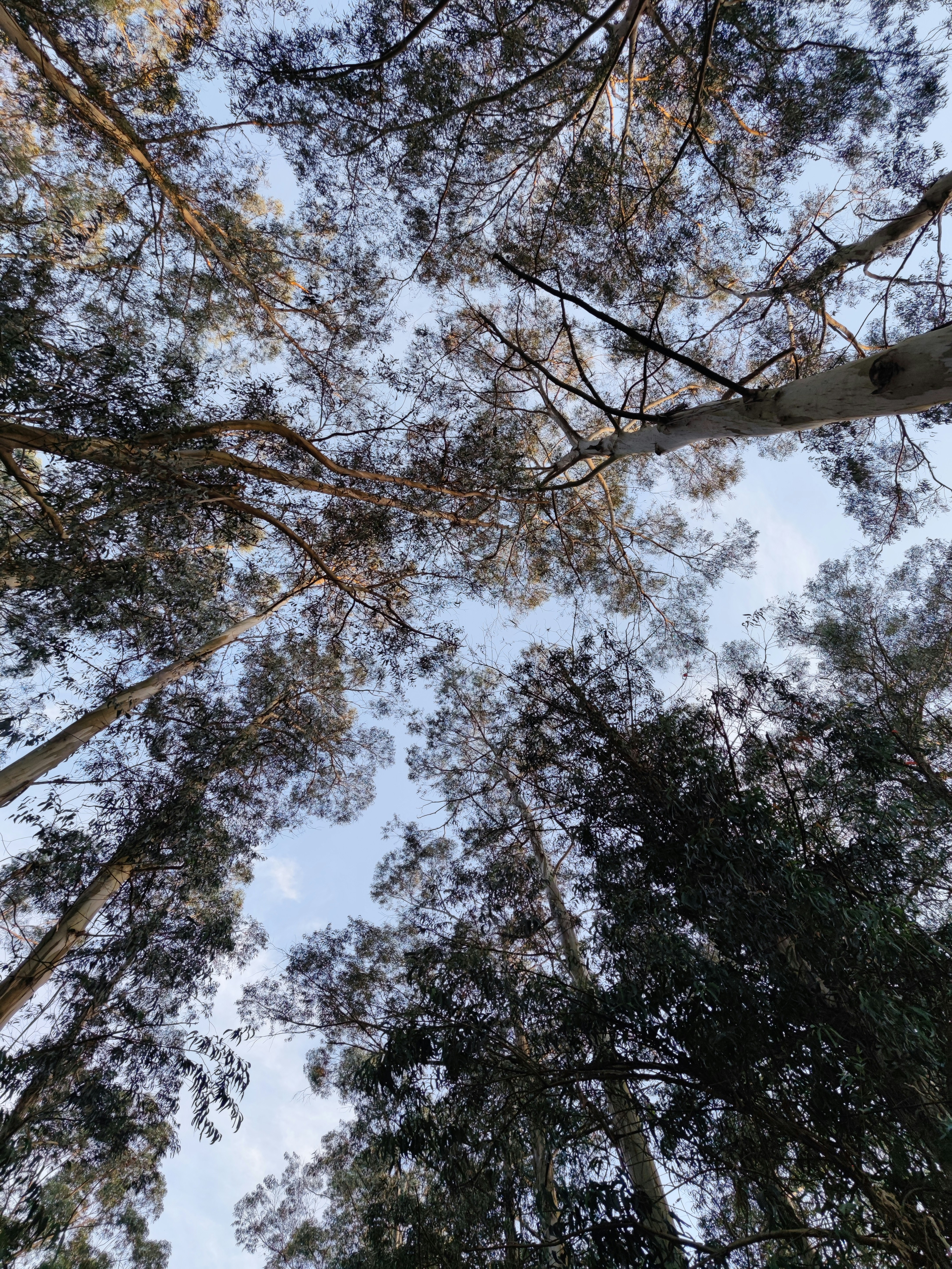 Photo by jmalonsoabalo